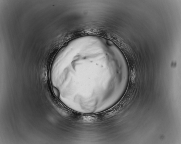 X0000099580703200806061627