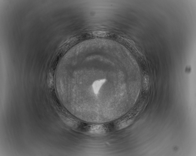 X0000099580705200806061627