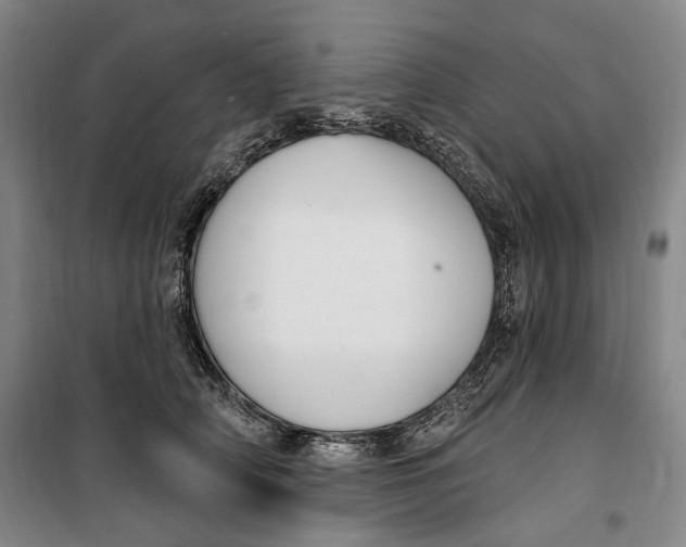 X0000099580706200806061627