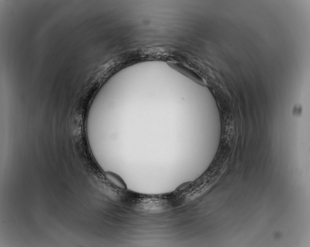 X0000099580708200806061627