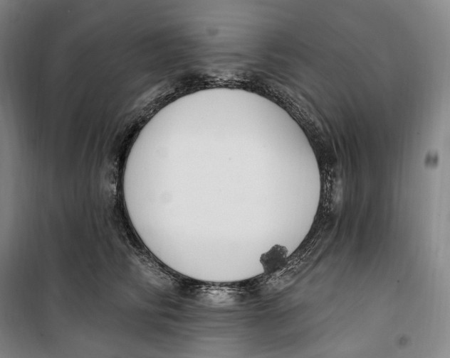 X0000099580710200806061627