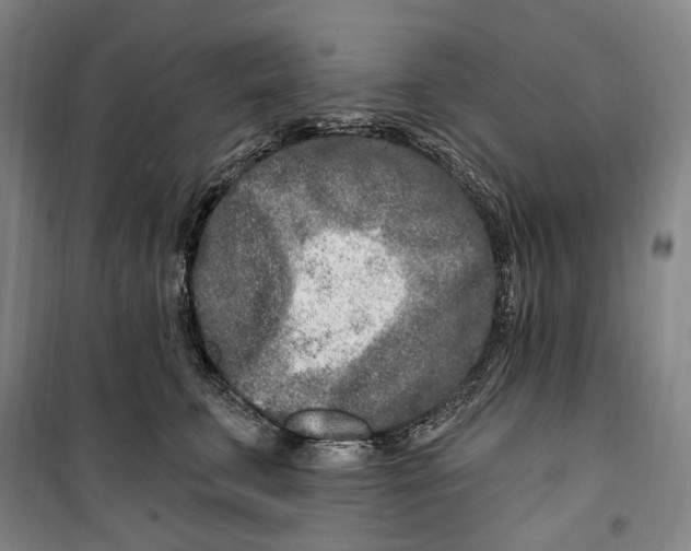 X0000099580711200806061627