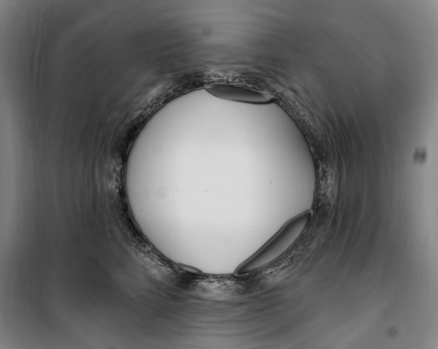 X0000099580712200806061627