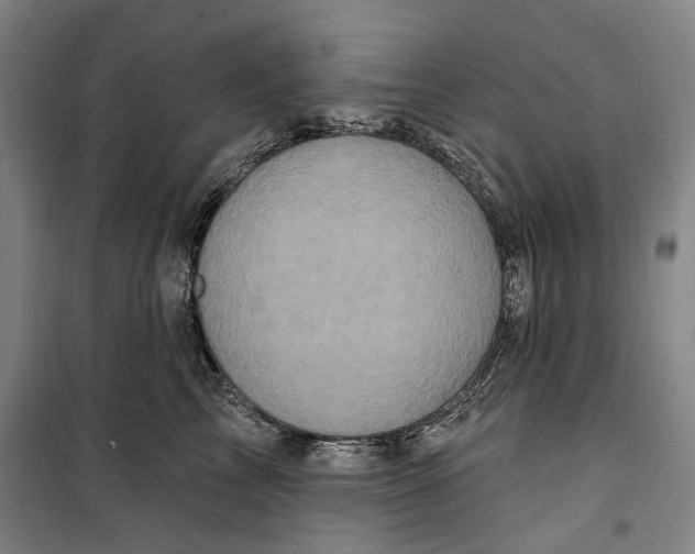 X0000099580713200806061627