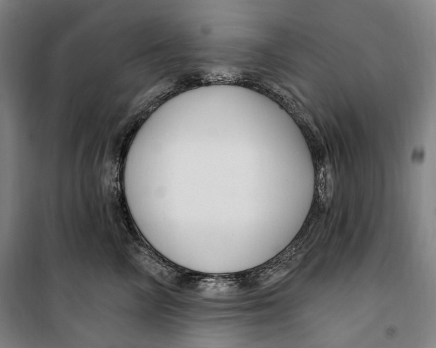 X0000099580714200806061627