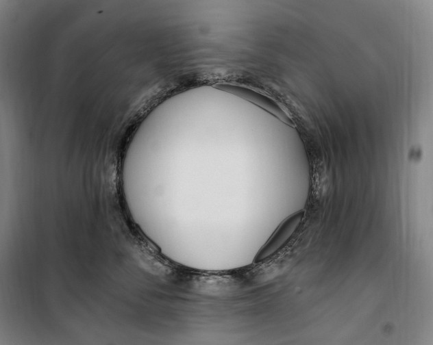 X0000099580716200806061627