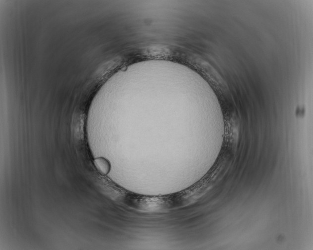 X0000099580717200806061627