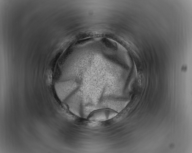 X0000099580718200806061627