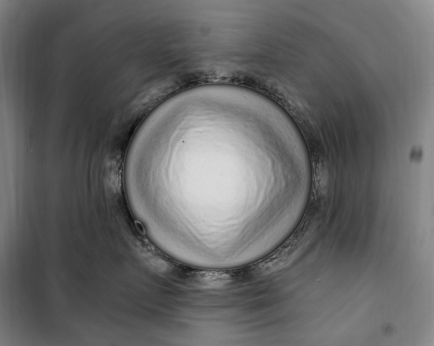 X0000099580719200806061627