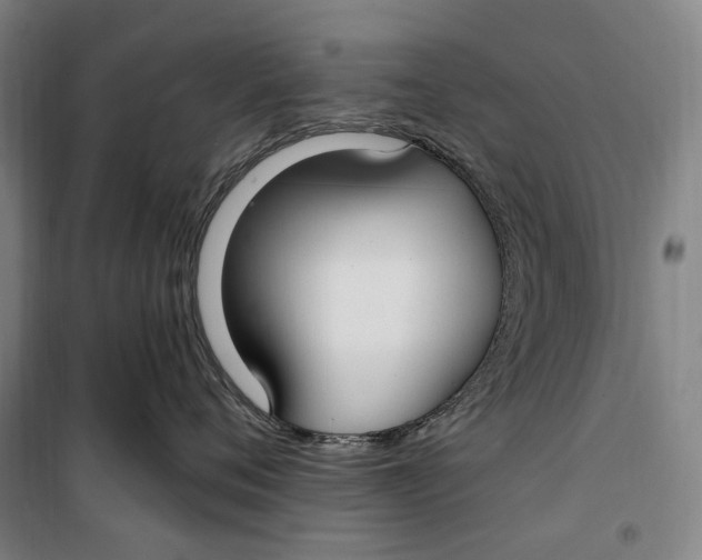 X0000099580720200806061627