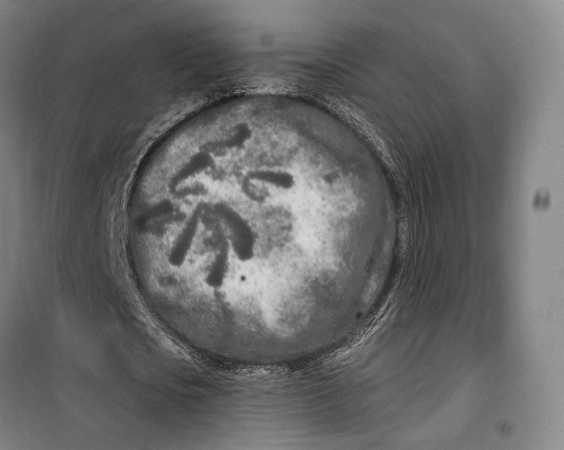 X0000099580721200806061626