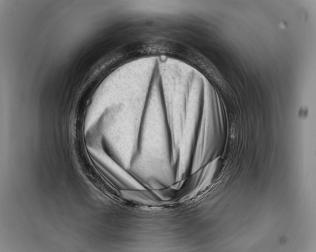 X0000099580722200806061626