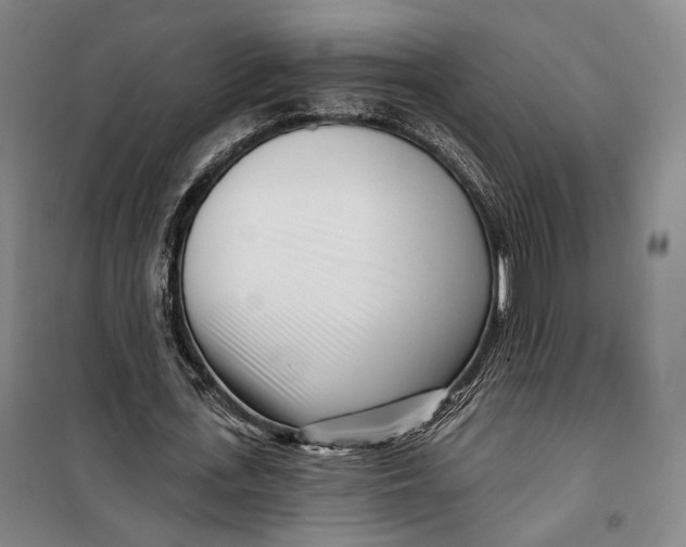 X0000099580723200806061626