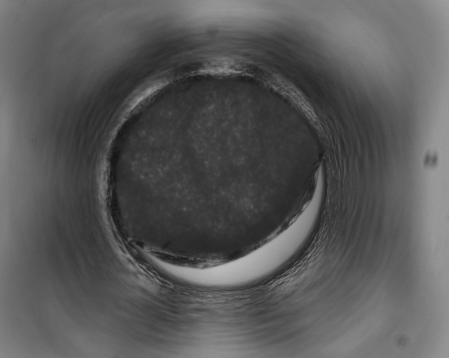 X0000099580724200806061626