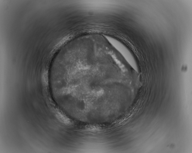 X0000099580729200806061626