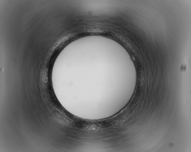 X0000099580731200806061626