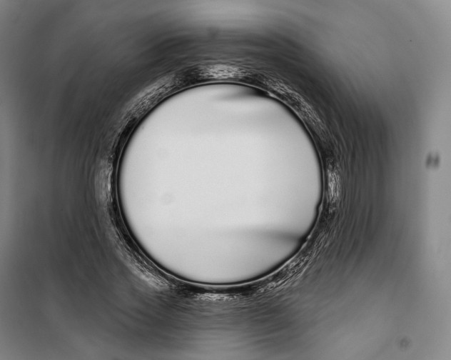 X0000099580733200806061626