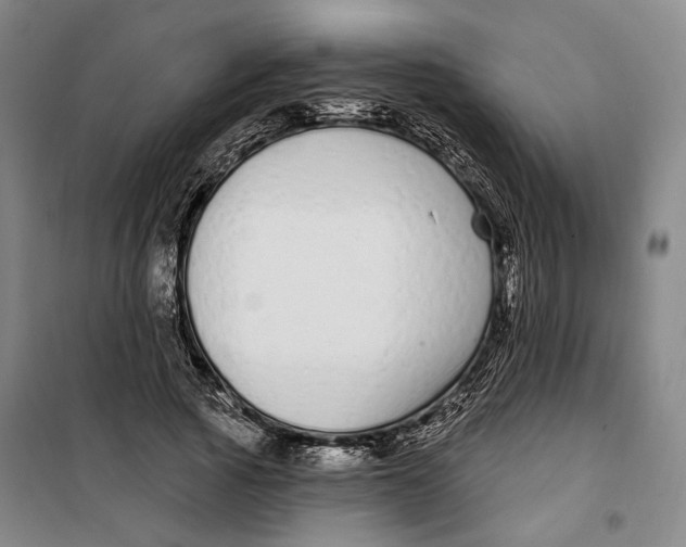 X0000099580737200806061626