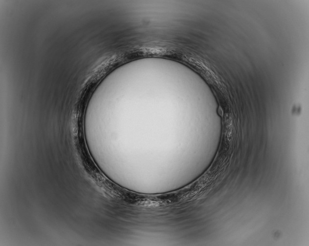 X0000099580738200806061626