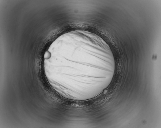 X0000099580739200806061626