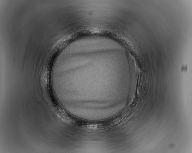 X0000099580740200806061626