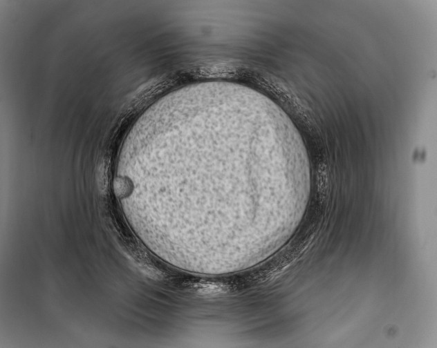 X0000099580741200806061626