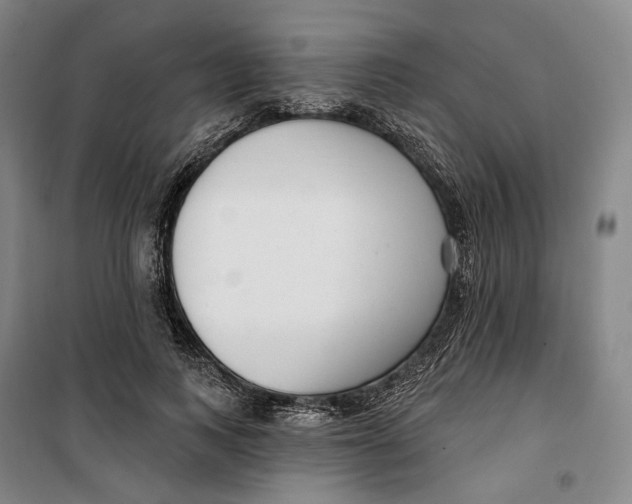 X0000099580743200806061626