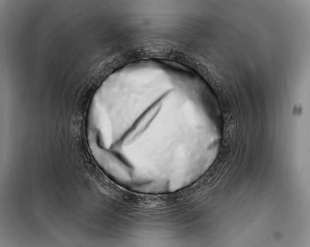 X0000099580745200806061626