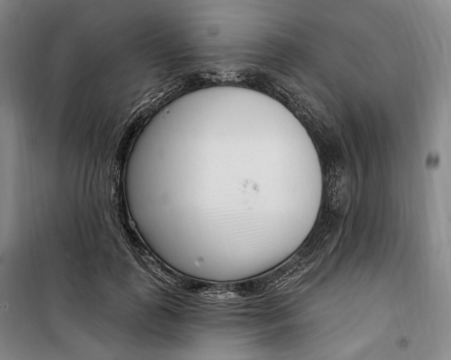 X0000099580747200806061626