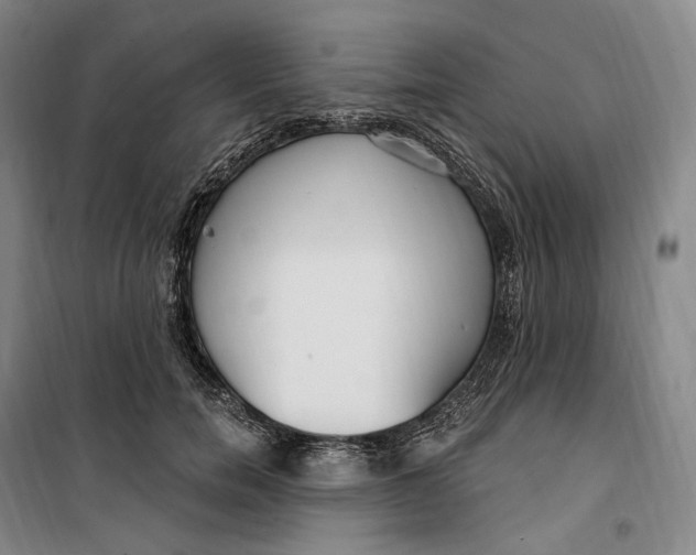 X0000099580750200806061626