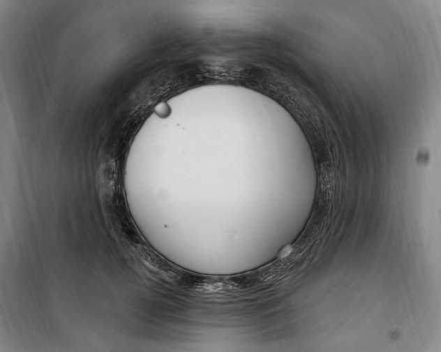 X0000099580752200806061626