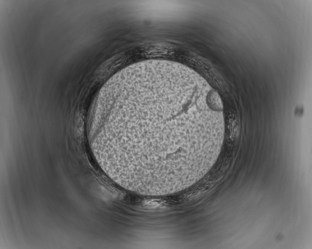 X0000099580753200806061626