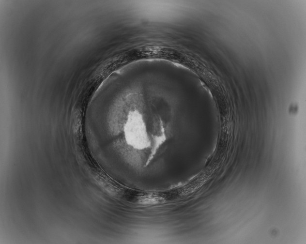 X0000099580754200806061626