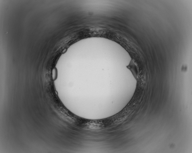 X0000099580756200806061626