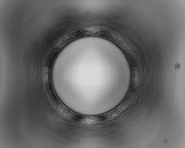 X0000099580758200806061626