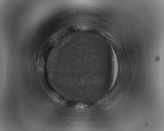 X0000099580760200806061626