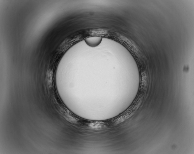 X0000099580761200806061626