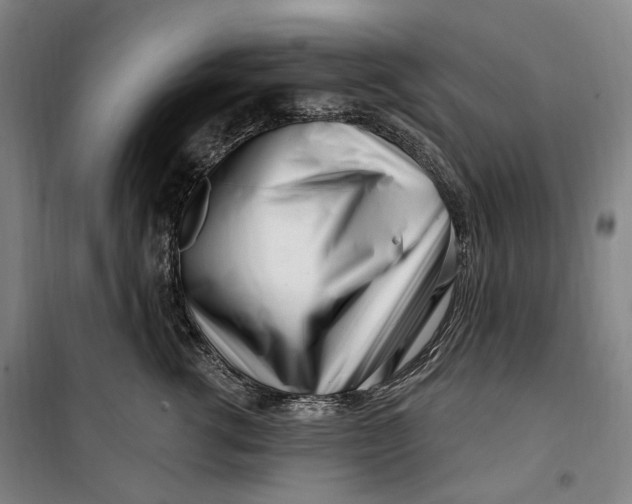 X0000099580762200806061627