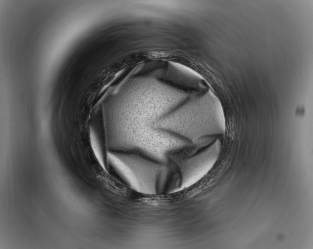 X0000099580763200806061627