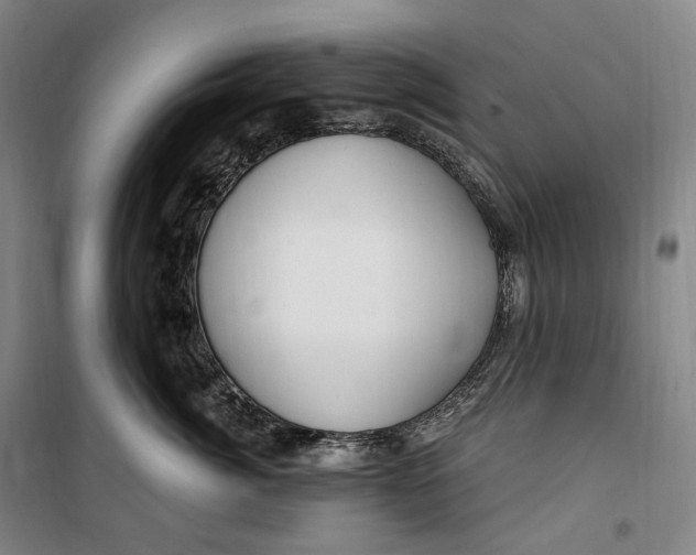 X0000099580764200806061627