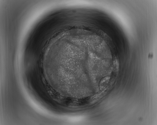 X0000099580765200806061627