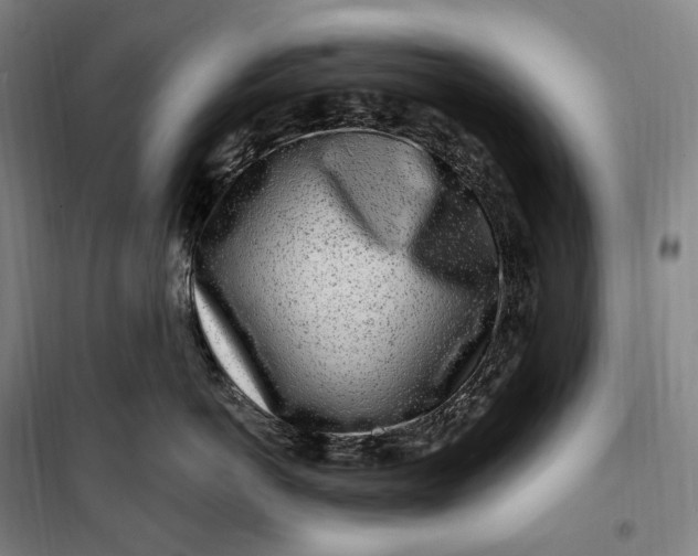 X0000099580766200806061627