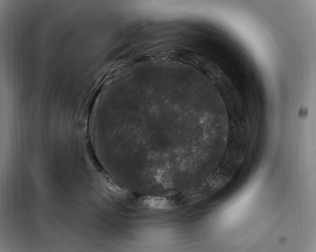 X0000099580767200806061627