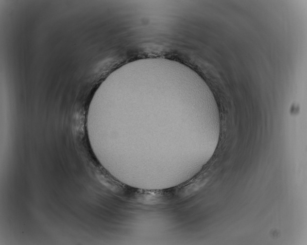 X0000099580768200806061627