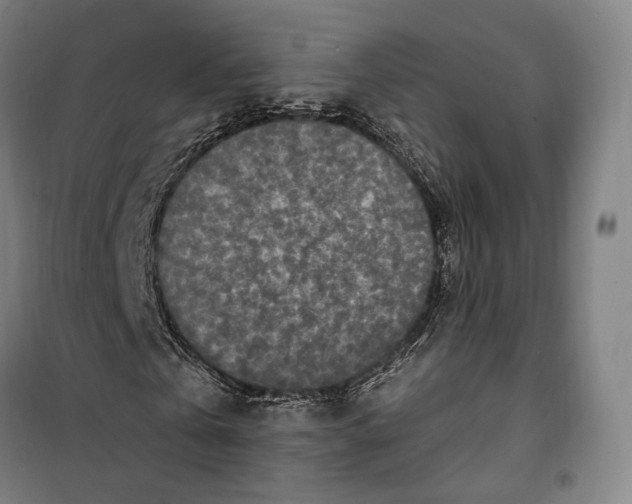 X0000099580769200806061626