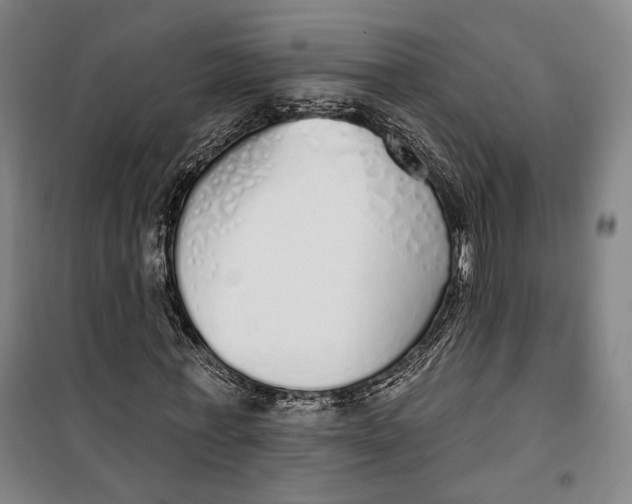 X0000099580771200806061626