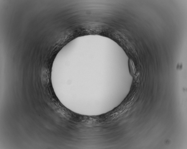 X0000099580772200806061626