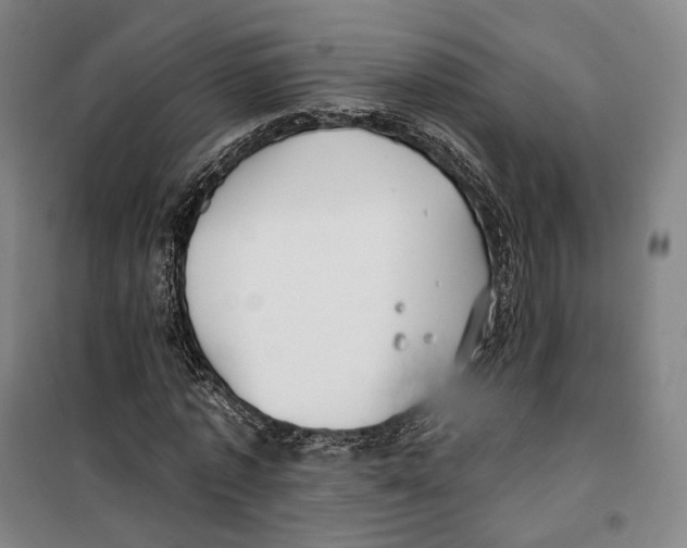 X0000099580773200806061626