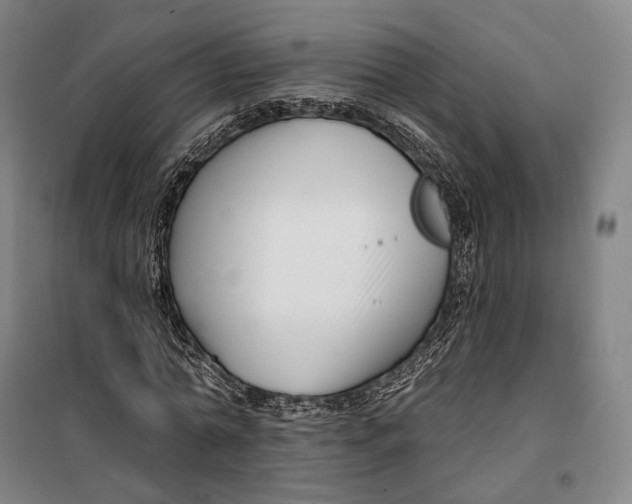 X0000099580774200806061626