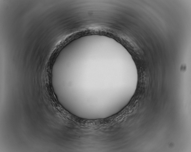 X0000099580776200806061626